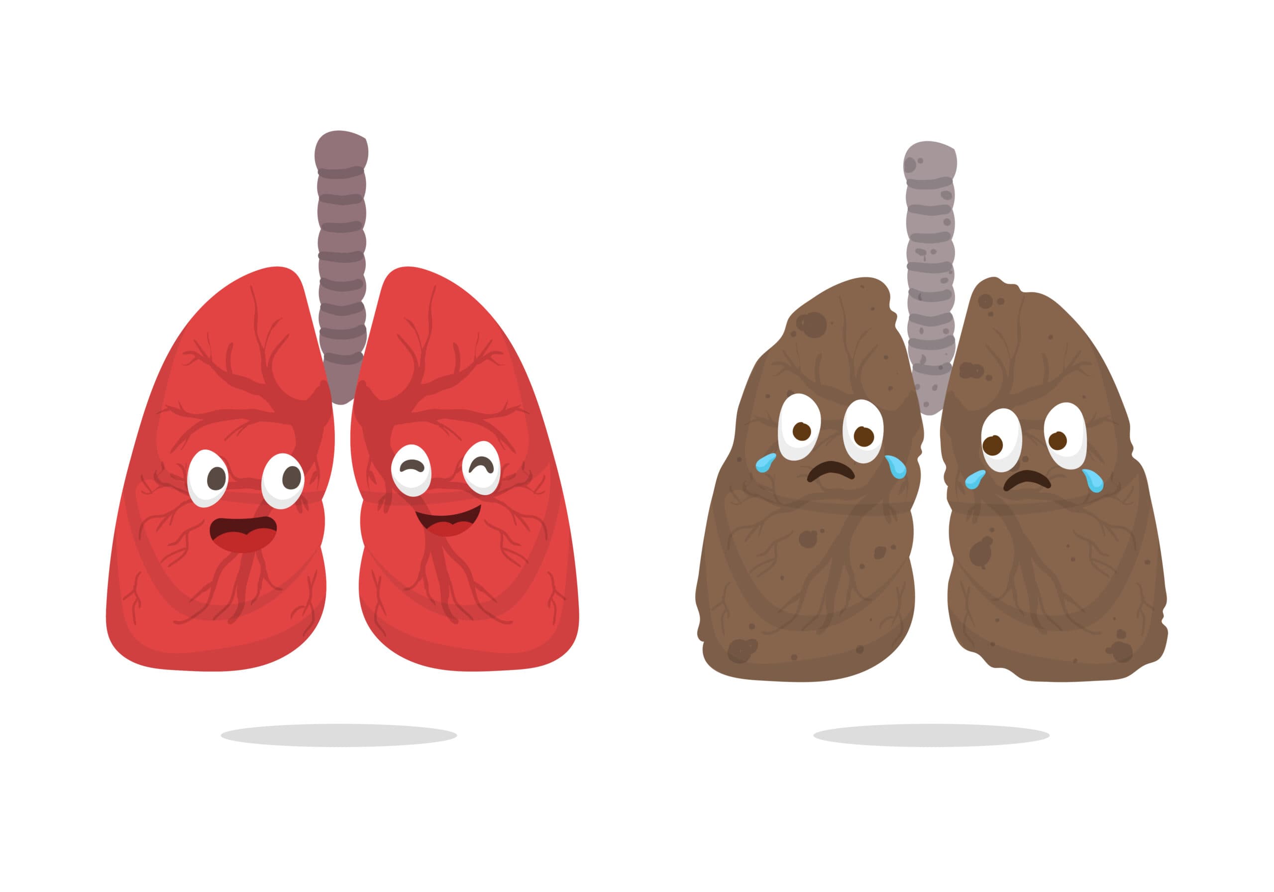 Healthy lung and smoker’s lung side-by-side